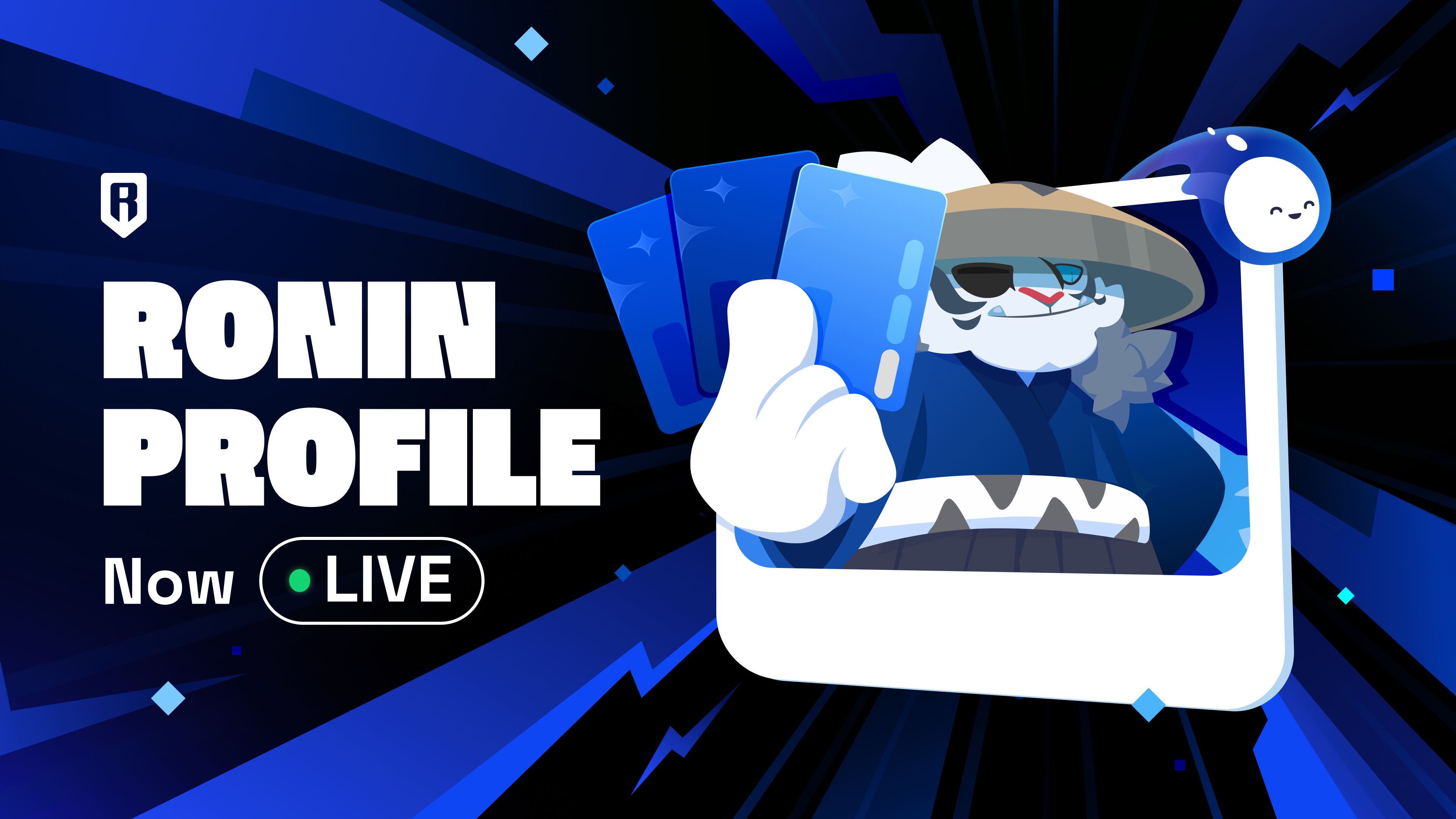 RoninProfile.png